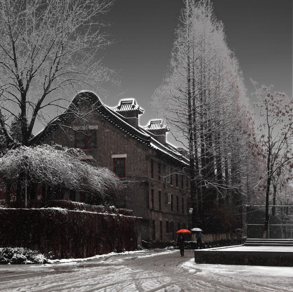 风雪老建筑3 摄影 一片翎