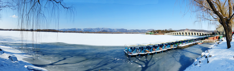 颐和园雪景 摄影 寒梅傲雪