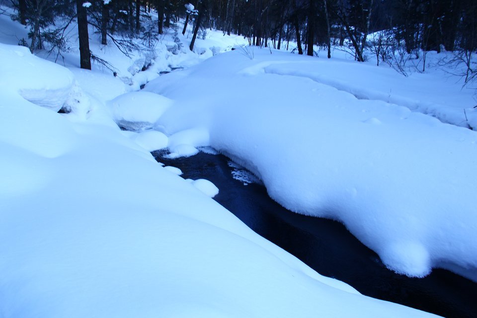 雪3 摄影 长白青松