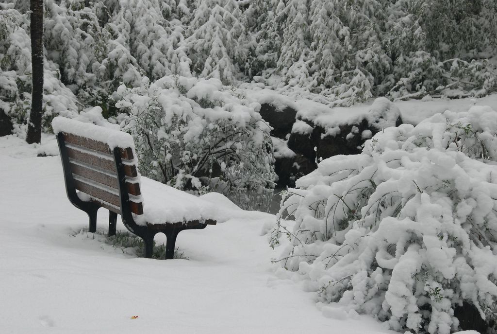 2014南昌春雪1 摄影 金蛇狂舞53