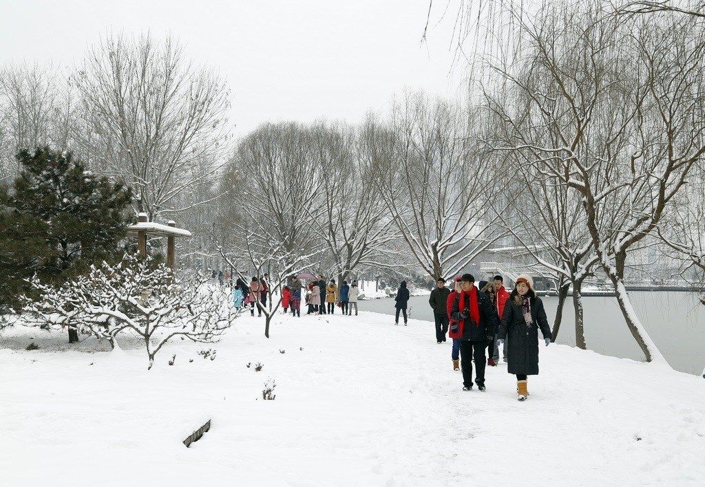 赏雪 摄影 天天想想