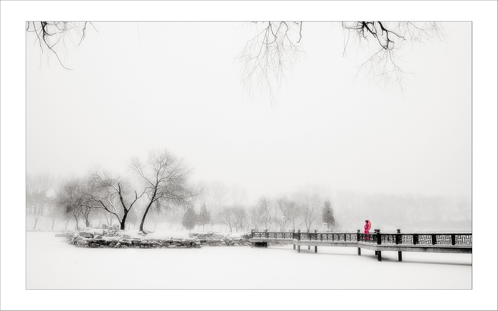 冬 雪 摄影 老土狼