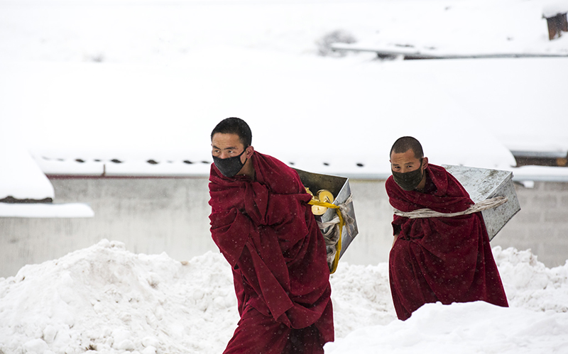 雪行 摄影 张潇芸