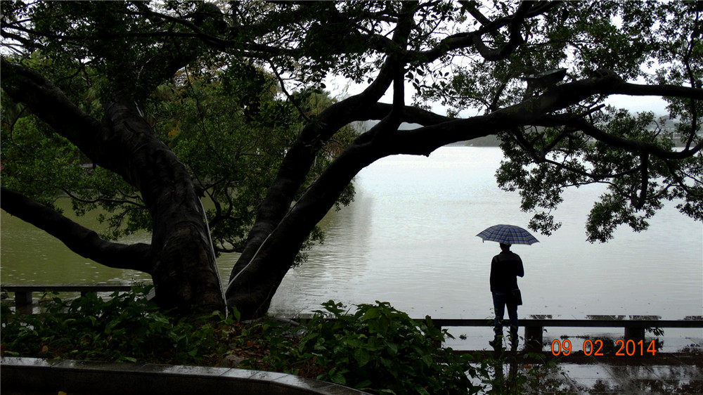 听雨 摄影 婉约