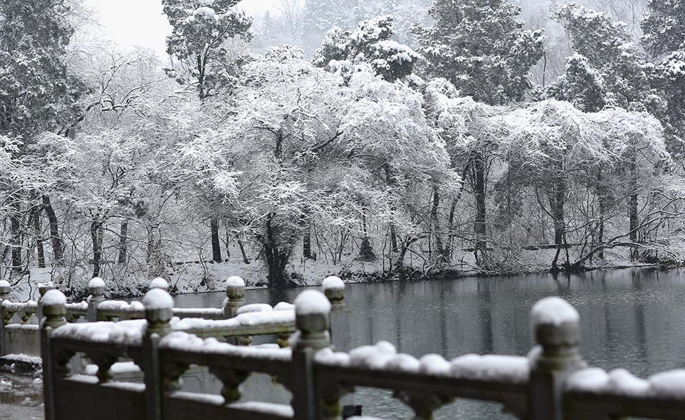 雪景1 摄影 mglao