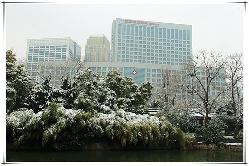 合肥包公园雪景《2》 摄影 铃儿响铛铛