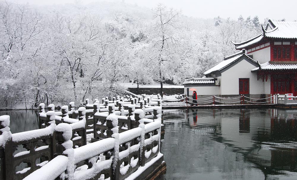 挡不住的浪漫 摄影 mglao