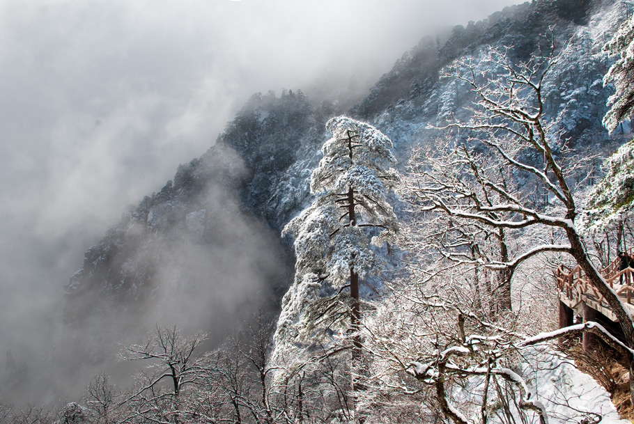 黄山2 摄影 小红椒