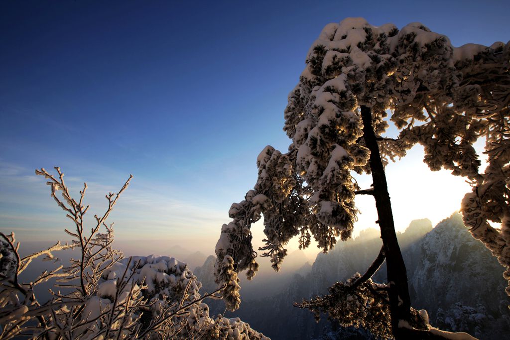 黄山雪韵4：挺（请点大图） 摄影 色谷饥仙