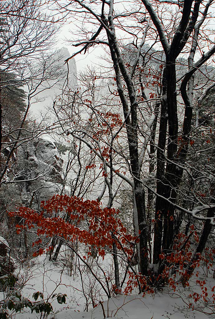 雪中情怀 摄影 影影其