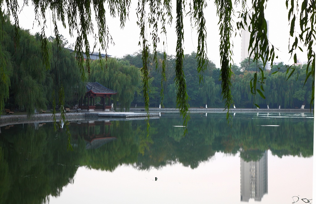 小湖美景 摄影 大兵呢克