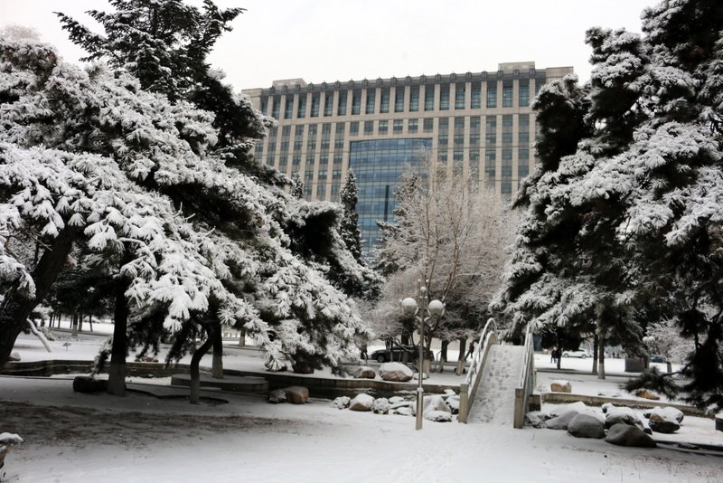 东大春雪 摄影 弯道王子