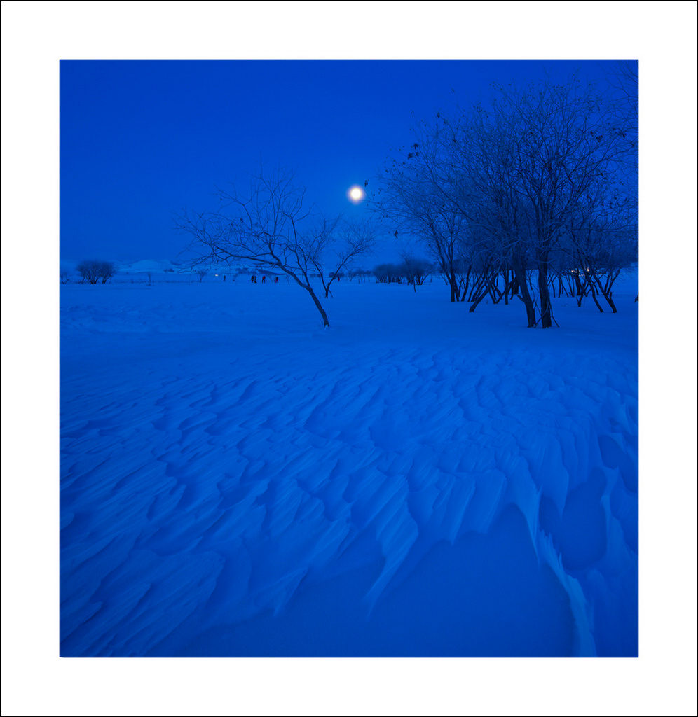 雪夜冬韵 摄影 依心依想