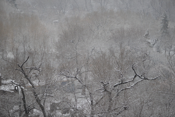 昨夜雪 摄影 以影求知