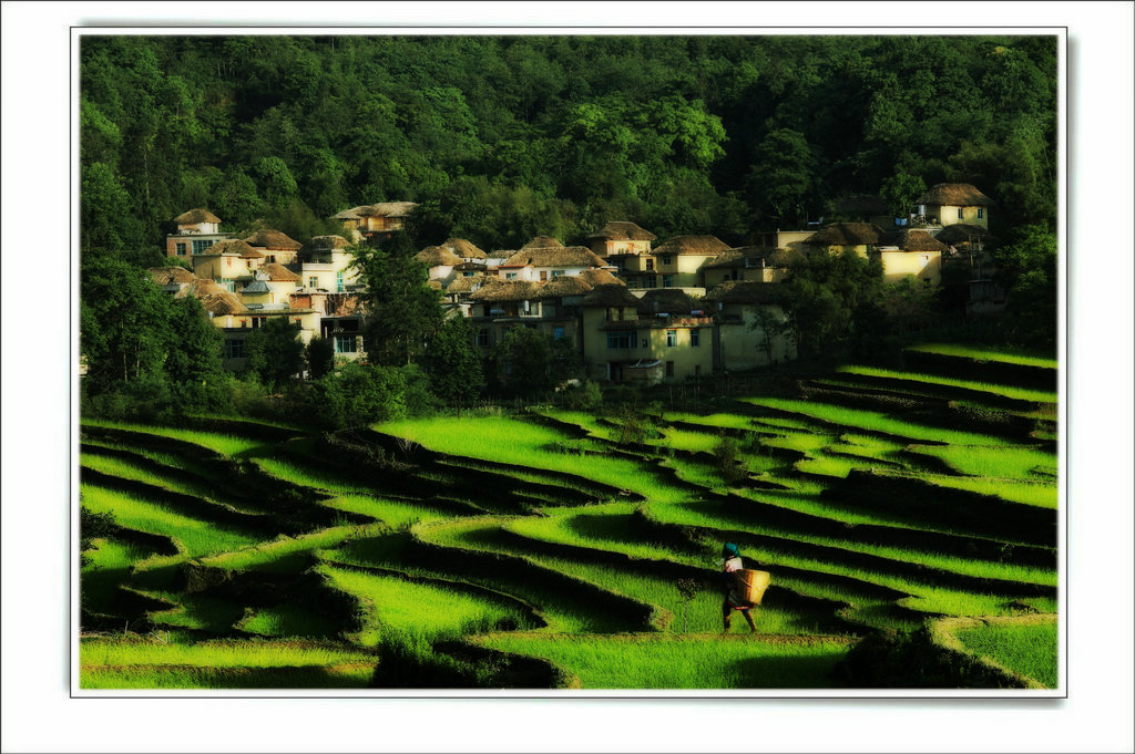 云南山村 摄影 蕊宝贝