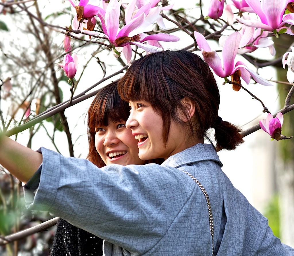 花季 摄影 菊韵