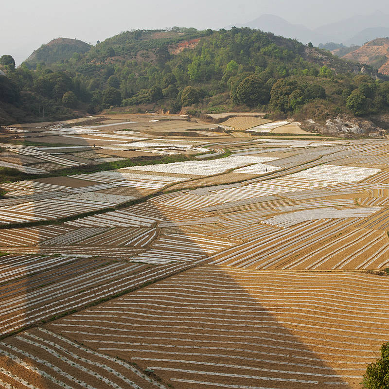 织锦田园 摄影 桃花江