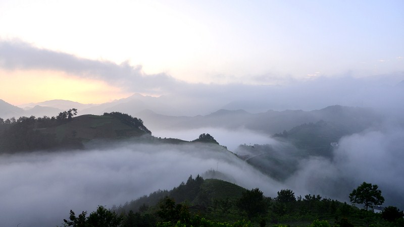 云雾乡村 摄影 看淡一切