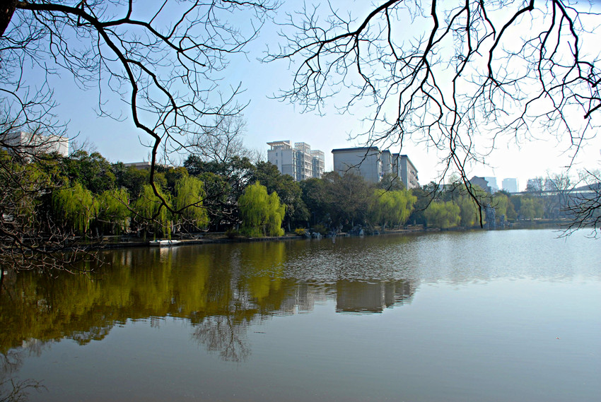 一池春水 摄影 淙水秀才