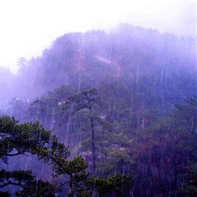 雪 摄影 hufusheng