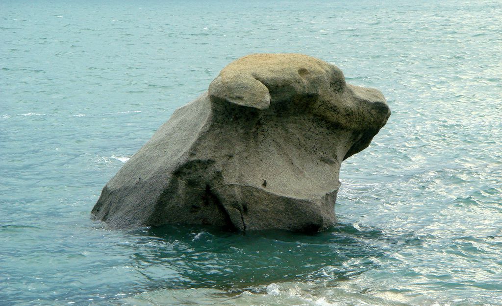 海狗 摄影 景仲平