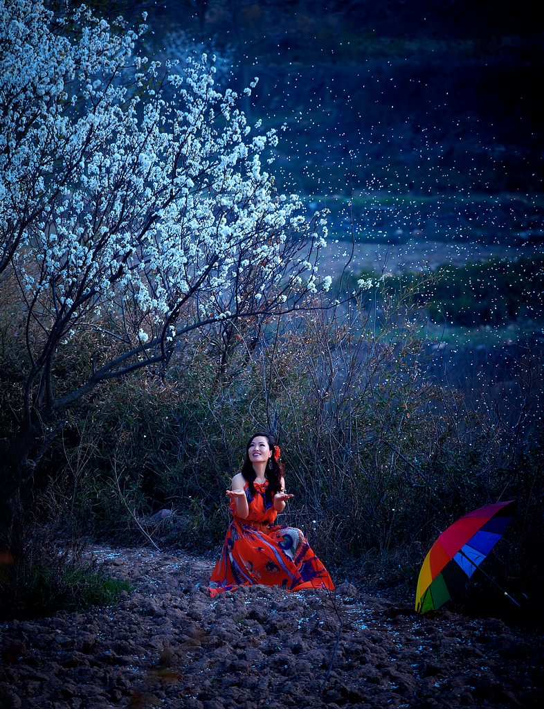 花瓣雨 摄影 老土狼