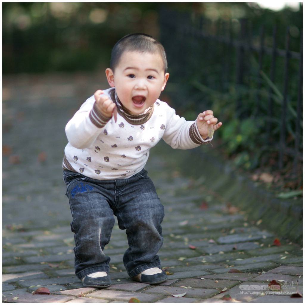 幼儿组照-3 摄影 苍茫老鹰