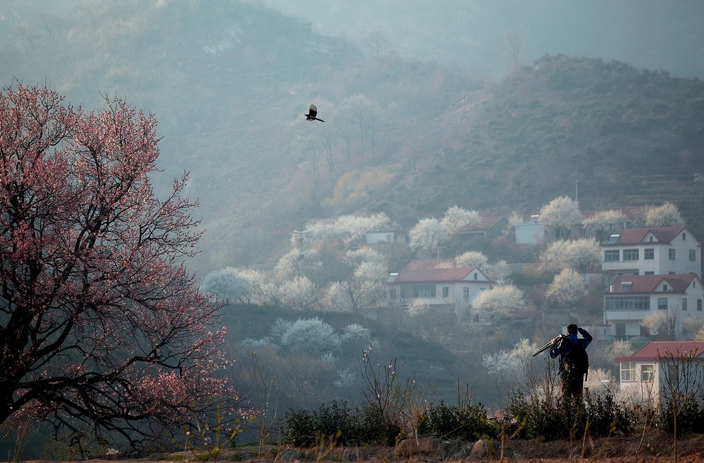 在那遥远的小山村 摄影 老土狼