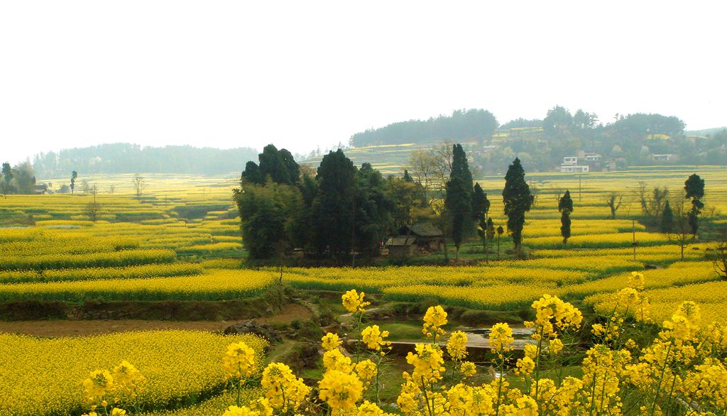 田园 摄影 景仲平