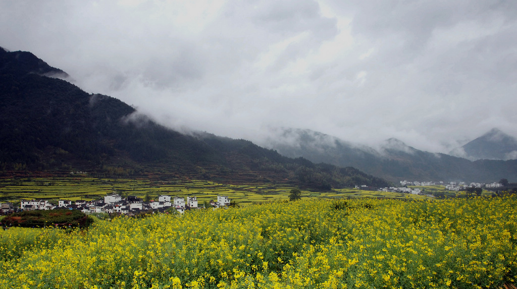 雨露江岭 摄影 吴越槐香