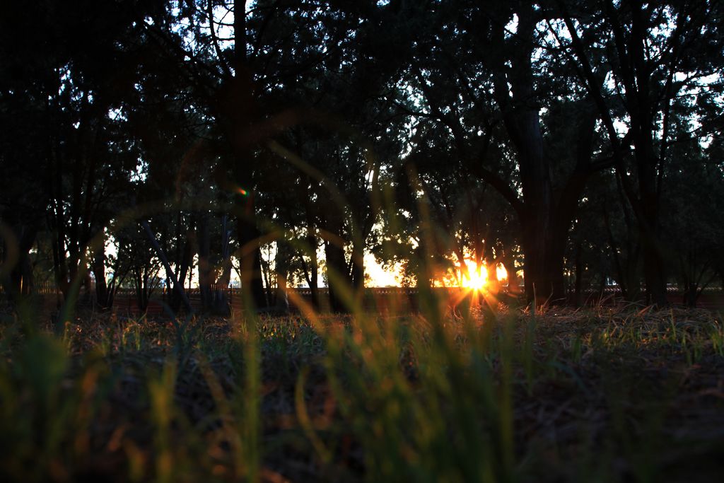 夕阳下的皇家园林3 摄影 鸿言