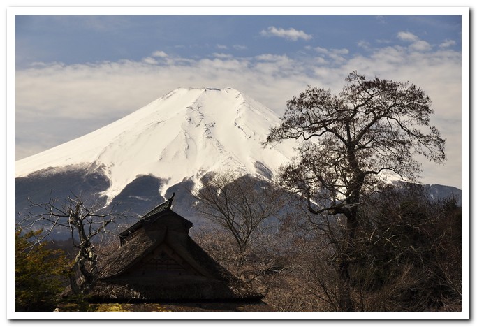 富士山 摄影 火红