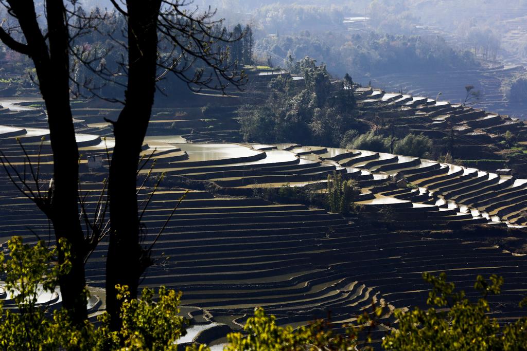 银光 摄影 山野骏马