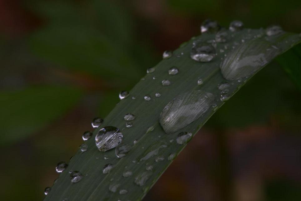 雨点 摄影 Geenfor