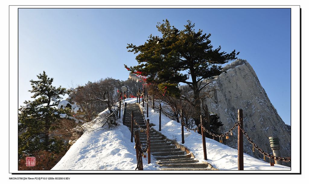 华山雪景----9 摄影 翟永生