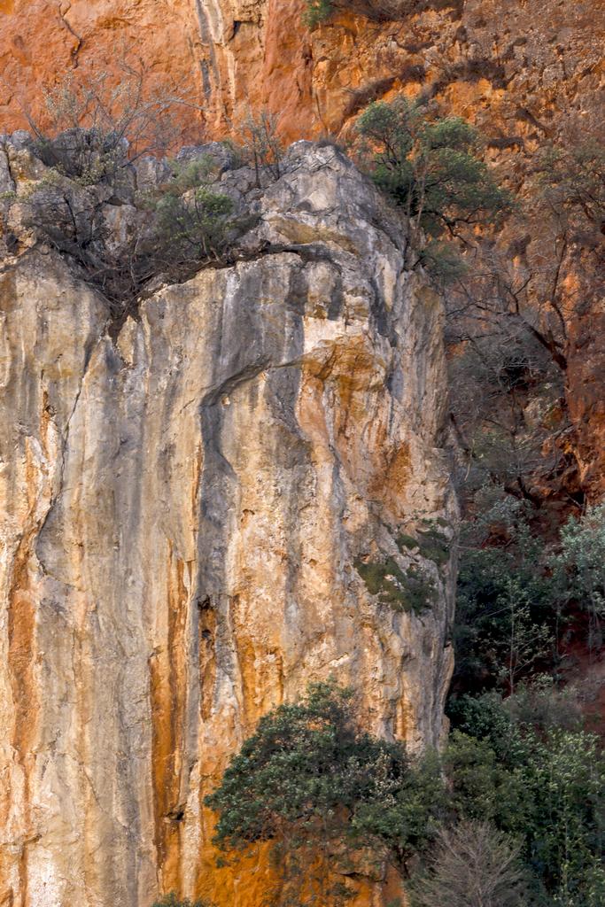 如盆景一七彩峽唂 摄影 山野骏马