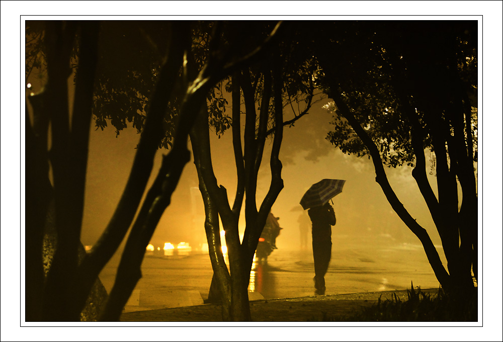 雨夜独行 摄影 与世无争