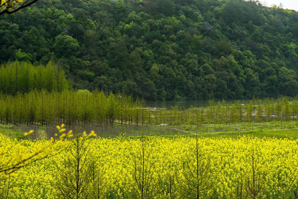 水边风景 摄影 goncw