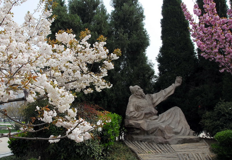 李白举杯“赏樱花” 摄影 tielong