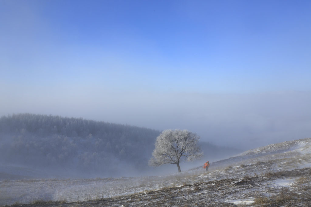 风雪战歌 摄影 七月虎