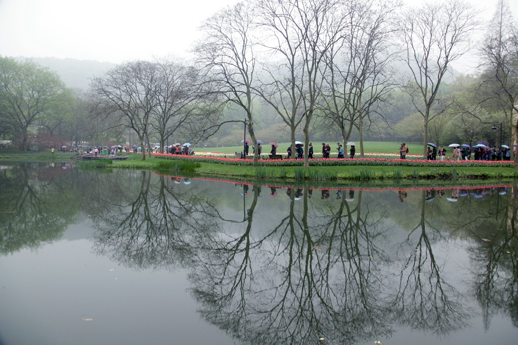 西湖烟雨醉游人 摄影 柏岩