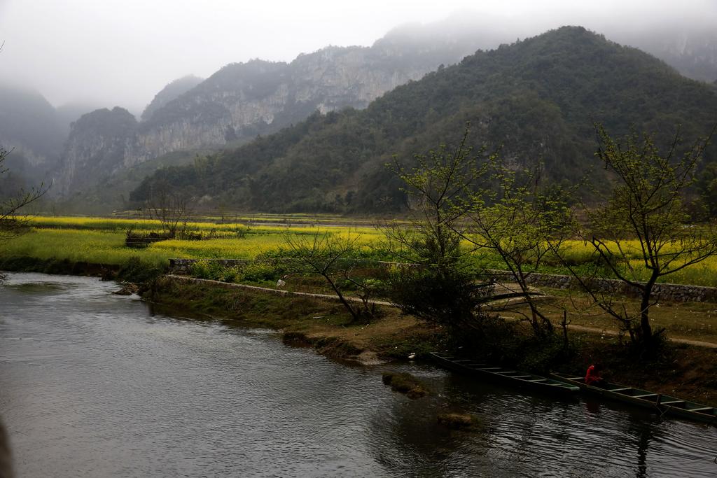 普者黑一景 摄影 山野骏马