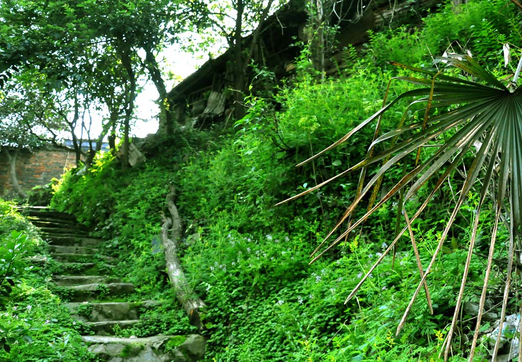 山里人家 摄影 阿江