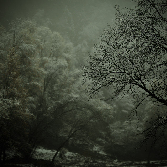 雪暗 摄影 少戈