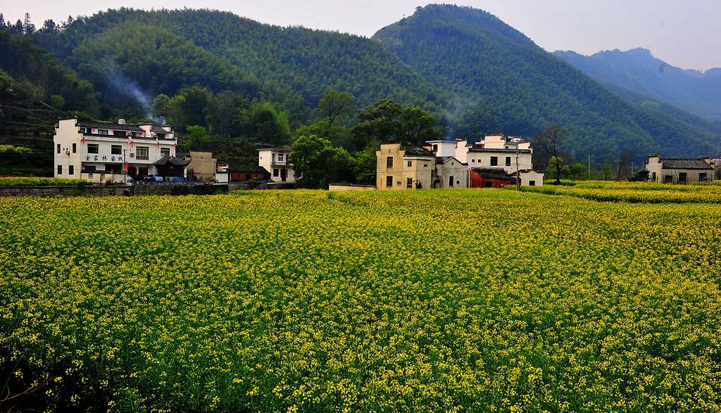 宏村外景【1】 摄影 胖胖牛哥