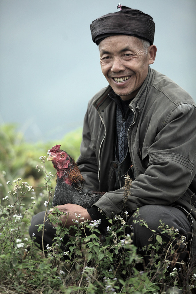 斗鸡 摄影 小愚若愚