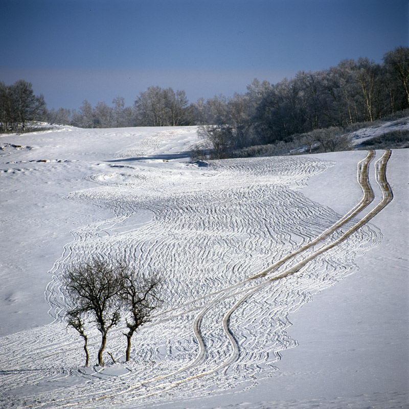 雪野 摄影 那人