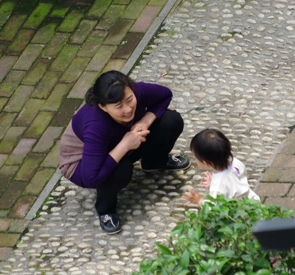 杭州 摄影 曲苑风荷