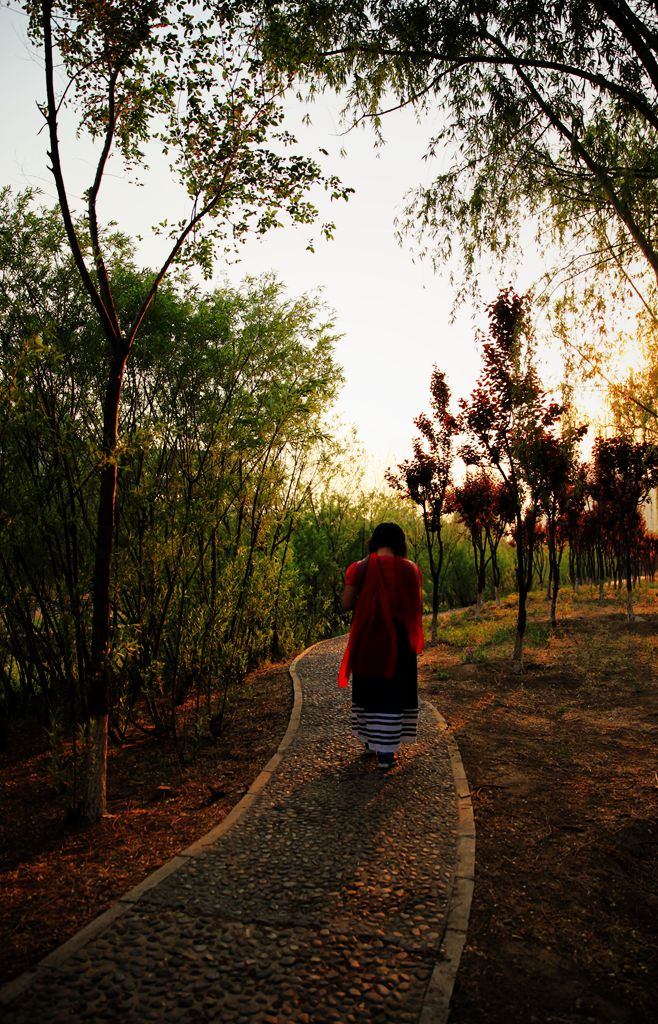 夕阳下 摄影 鸿言