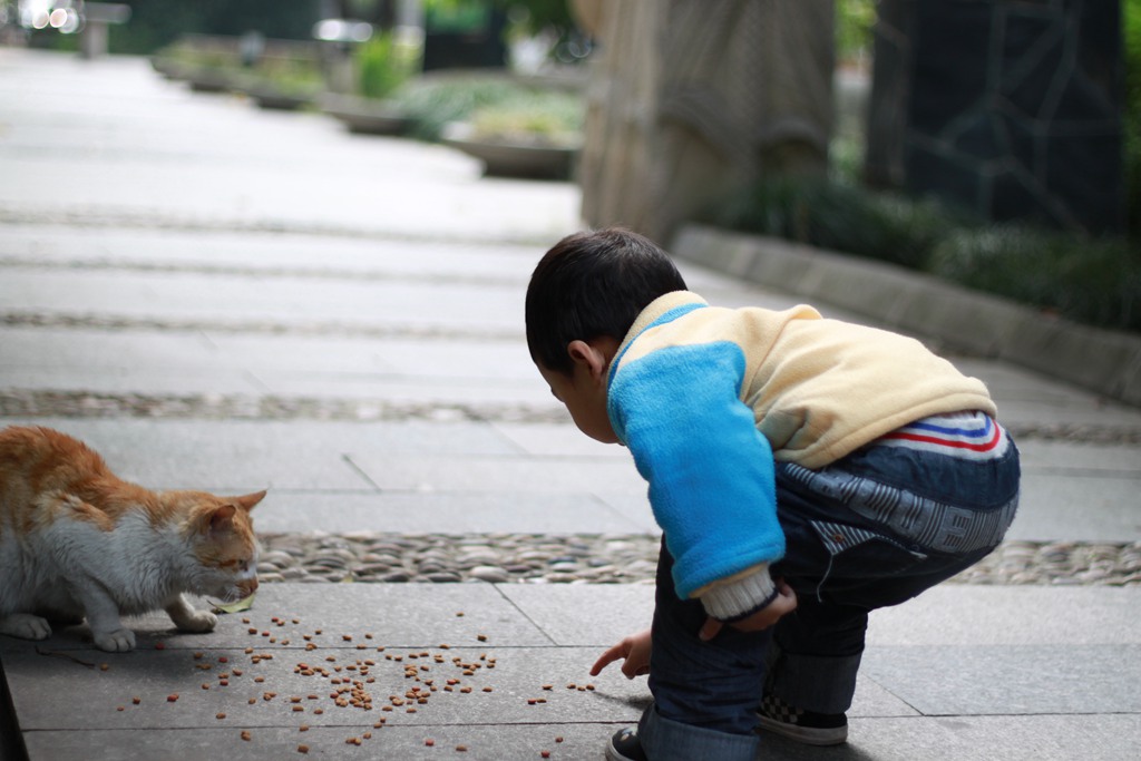 来吃这个，这个好吃 摄影 影煞